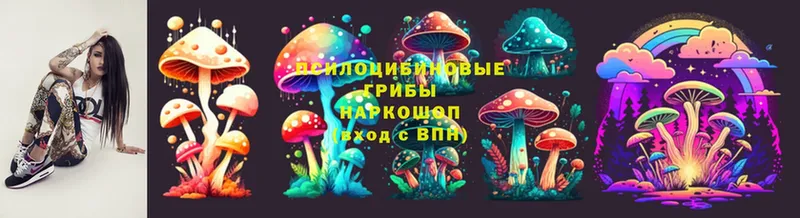 Псилоцибиновые грибы мухоморы  Светлоград 